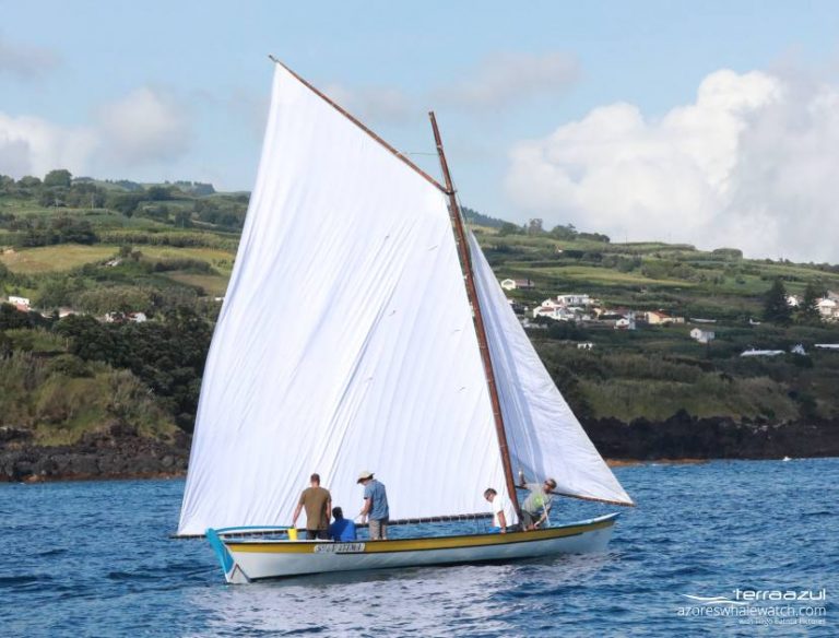 Azorean whaling traditions Azores Whale Watching TERRA AZUL™