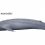 Blue Whales – The largest animal on the planet