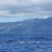 The blue ocean and its life welcomed us with open arms!