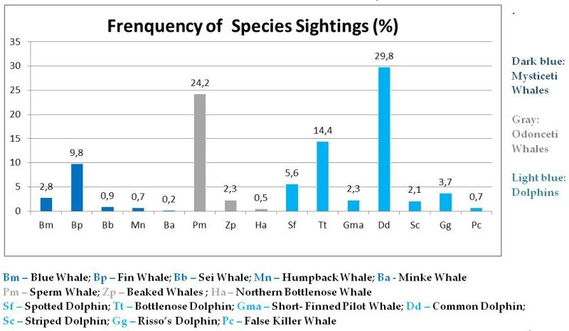 Frequency of Species Sighting