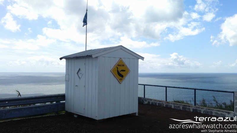 Ponta Garça Lookout Point