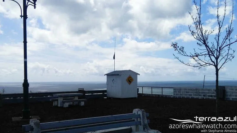 Ponta Garça Lookout Point