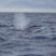 The breath of the ocean