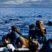 A day with the Pilot Whales!