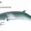 Minke Whale