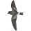Monteiro Storm Petrel