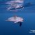 Today was Dolphin Day but Also the First Day with Spotties !!!
