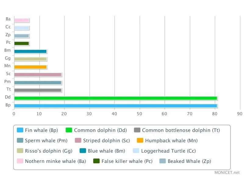 Percentage of trips in which the selected species were seen.
