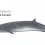 Sei Whale – The “sardinheira”