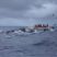 Porpoising dolphins!
