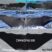 Sperm Whale Match!