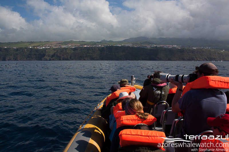 Tour with BirdLife and SPEA