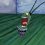 Spring is here and with spring comes Plankton !