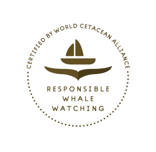 Responsible Whale Watching WCA