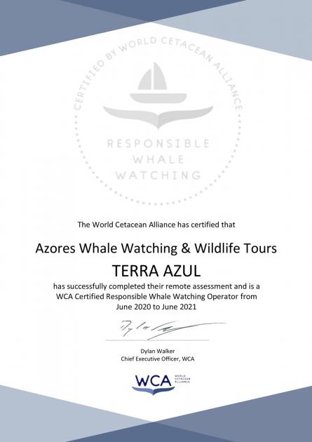 WCA Responsible Whale Watching Certificate