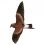 Wilson’s Petrel
