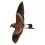 Wilson’s Petrel