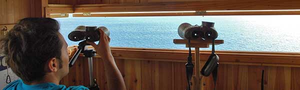 Azores Whaling Lookout Inland