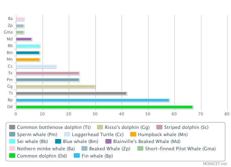 Humpback Whale Population Chart