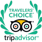 Best Time Whale Watching Azores Excellence Award