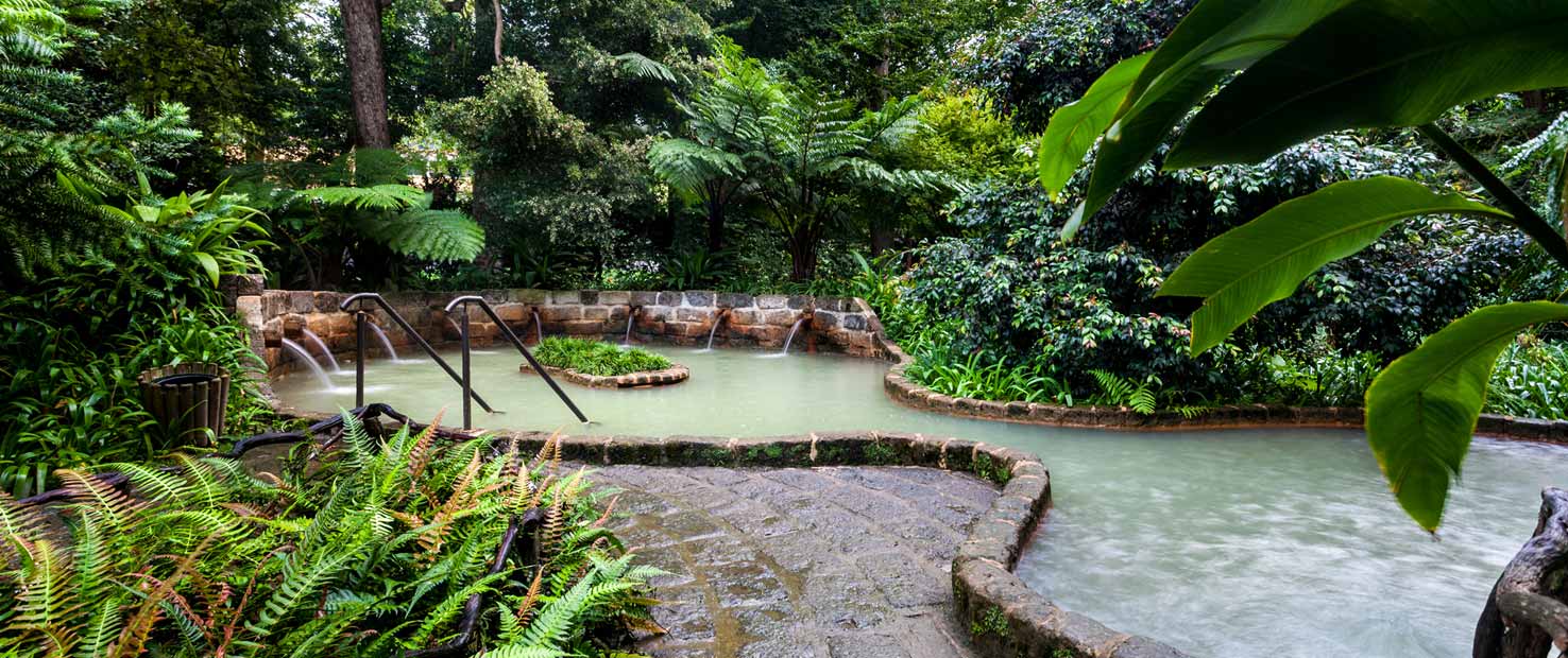 Furnas and Terra Nostra Park in Sao Miguel
