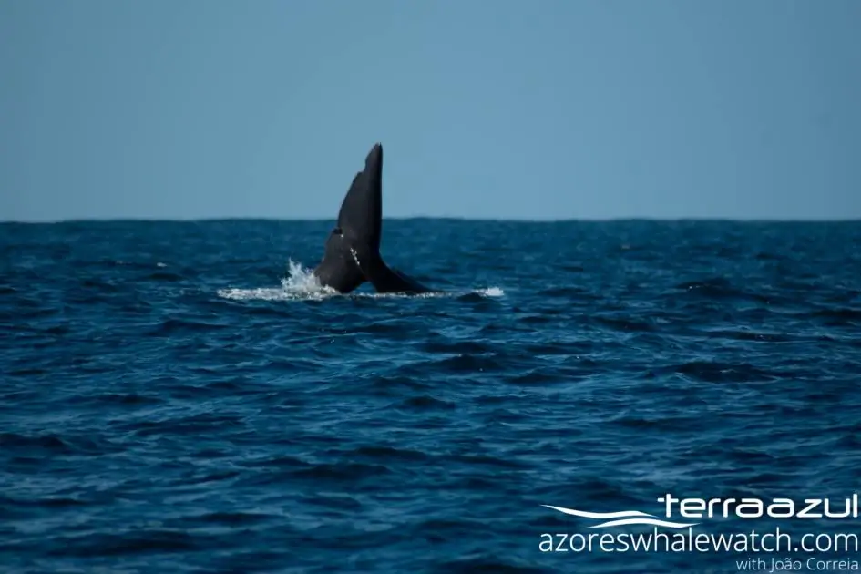 used on the 28/03/21