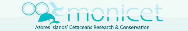 Monicet - Azores Islands Research & Conservation Project
