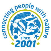 Azores Whale Watching