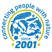 Whale Watching in Azores