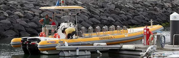 Whale Watching Zodiacs