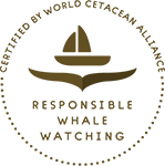 World Cetacean Alliance Responsible Whale Watching Certification