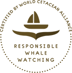 World Cetacean Alliance Partner